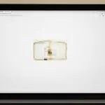 Surface Laptop Trackpad Popped out: Causes, Risk, and Resolutions.